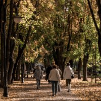 Осень-осень - Бульвар Гоголя :: Владимир Максимов