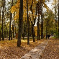 Осень в парке :: Андрей Андрианов