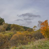 Под небом октября... :: Владимир Жданов