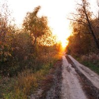 Дорога в октябрь. :: сергей 