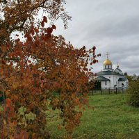 Осенние зарисовки :: Мария Васильева