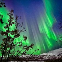 Aurora borealis :: Елизавета Нефедова