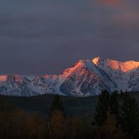 * :: Александр Иванов