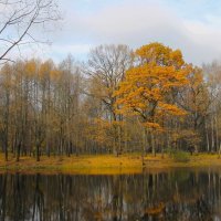 ОСЕННИЙ ПЕЙЗАЖ :: Валентина 