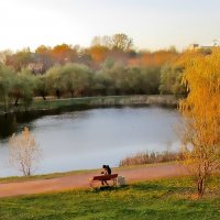 Осенние зарисовки. :: Ольга Довженко