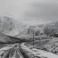 Наступила зима❄️ :: Татьяна Чаброва