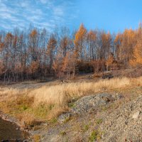 ОКТЯБРЬ ... :: Владимир Железнов