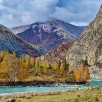 Осеннее разноцветье :: Алексей Мезенцев