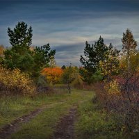 "Краски осени Средней полосы"© :: Владимир Макаров