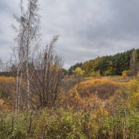 Под небом октября... :: Владимир Жданов