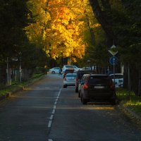 Осень на Каменном острове :: Магомед .