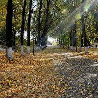 Лучики :: Андрей Зайцев