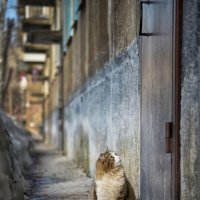 Работы учеников. "Ключи забыла" :: Илья Фотограф