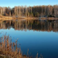 Октябрьский пейзаж :: Нэля Лысенко