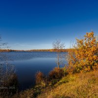 Осенний пейзаж :: Александр Синдерёв