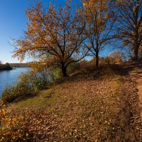 Осень на берегу :: Александр Синдерёв