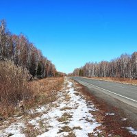 Дорога в зиму :: Любовь Сахарова