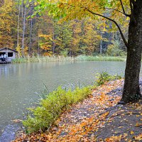 Осенний дождь :: Татьяна Лютаева