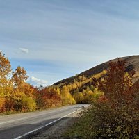 Осенние краски. :: Николай Жуков