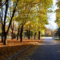 Осень в парке Кусково :: Татьяна Тюменка