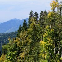 В горах :: Наталия Григорьева