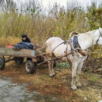 Дедушка Толя из Троицкого Росляи. :: Валерий Рыкунов