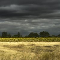 Переменная облачность :: Галина Ильясова