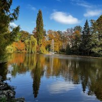 Лето быстро пролетело, Осень уж вошла в права. :: "The Natural World" Александер