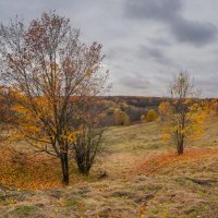 Октябрь в Царицыно... :: Владимир Жданов