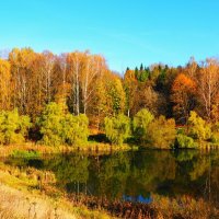 Осенняя пора (репортаж из поездок по области). :: Милешкин Владимир Алексеевич 