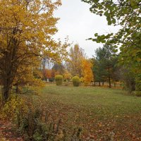 В осеннем парке :: Елена Кирьянова