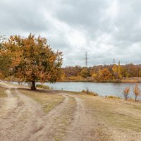 Эх, дороги... Пыль да туман.. :: валерий 