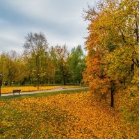 осень :: Дмитрий 