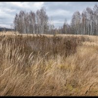 Осень :: **** vedin