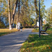 В городском сквере :: Александр Синдерёв