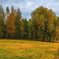 осень в парке :: Дмитрий 