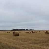 Ни конца ни края :: Кристина Кулешова 