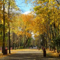 Воскресенье в парке. :: Егор Бабанов