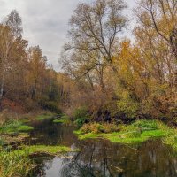 на речушке :: Виталий Емельянов