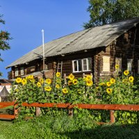 Старый дом :: Александр Силинский