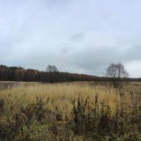 Осенний пейзаж :: Денис Бочкарёв