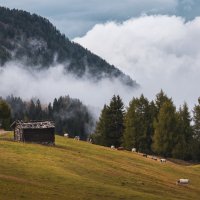 Под облаками :: Алекс Римский