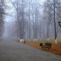 В парке :: Андрей Зайцев