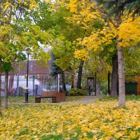 Парк в Петроверигском переулке :: Лютый Дровосек