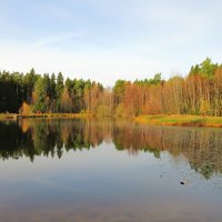 Утреннее безмолвие :: Андрей Снегерёв