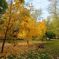 Таганрог. Приморский парк :: Нина Бутко