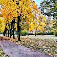 Осень на улицах нашего городка ... :: Сергей 