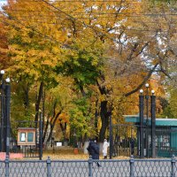 Центральный вход в Первомайский сад :: Татьяна Машошина