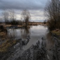 Держись строго колеи :: Валерий VRN