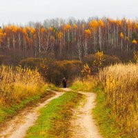 Одинокий охотник на просёлочной дороге. :: Милешкин Владимир Алексеевич 